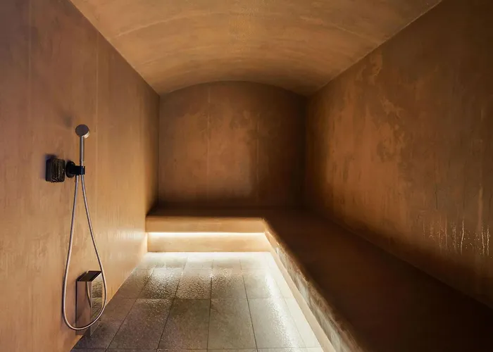 公寓 Luxe Avec Retour A Et Acces Bien-etre A 1850 - Fr-1-830-8